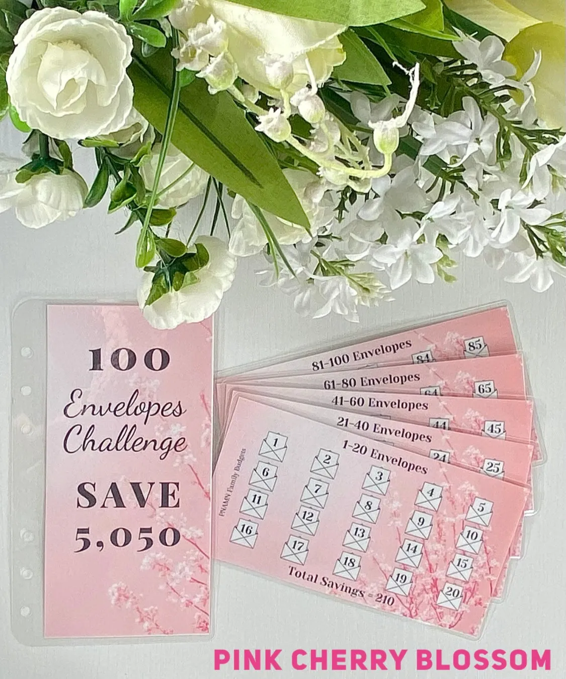 100 Envelopes Insert Trackers