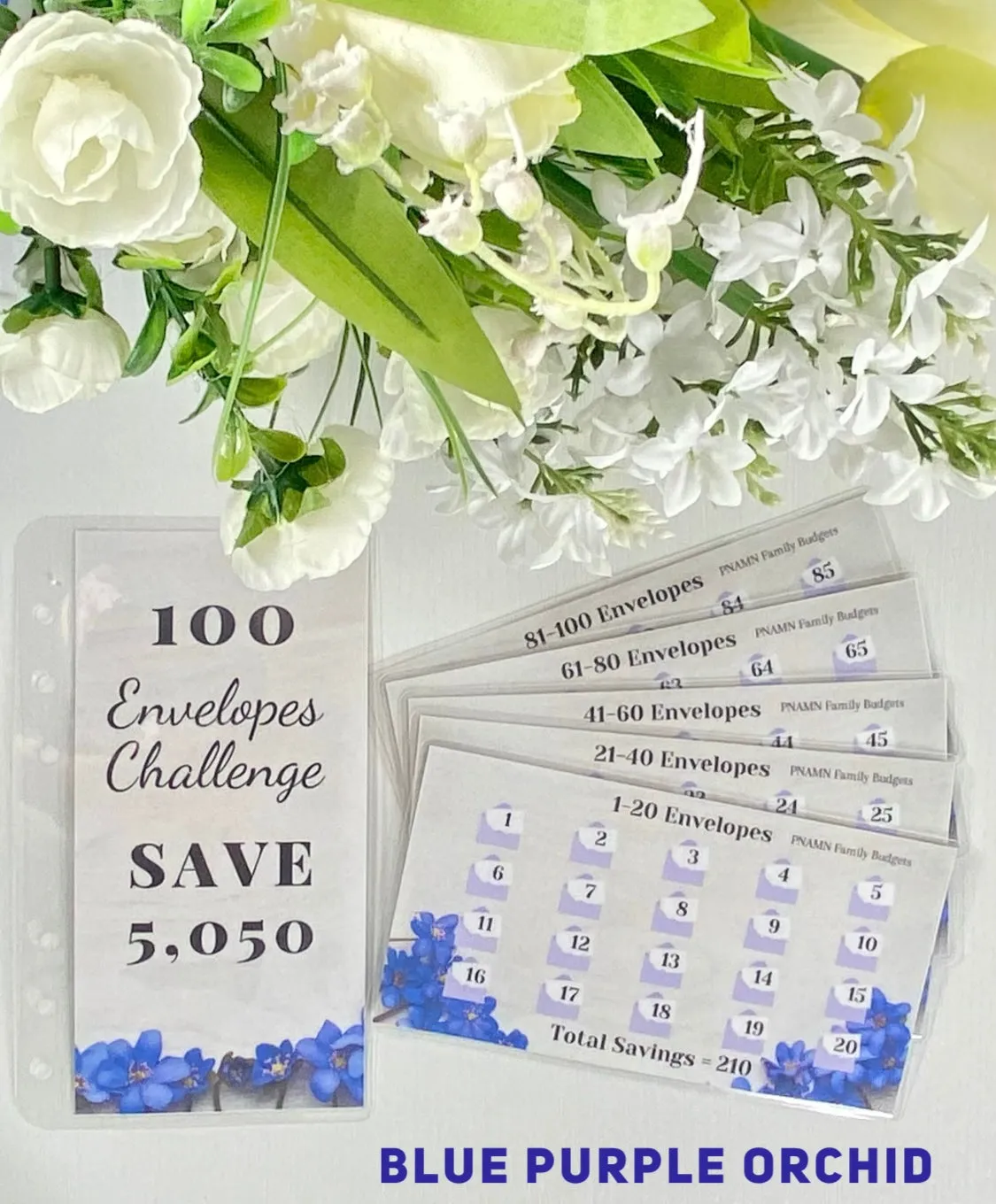 100 Envelopes Insert Trackers