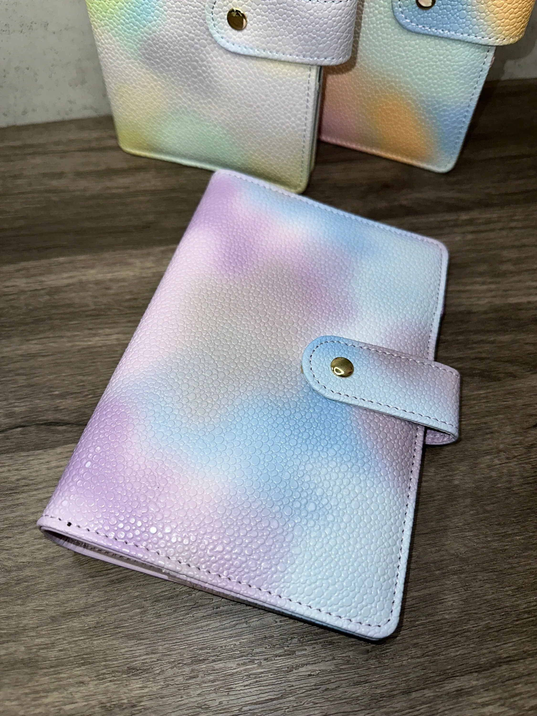 A6 Rainbow Budget Binders