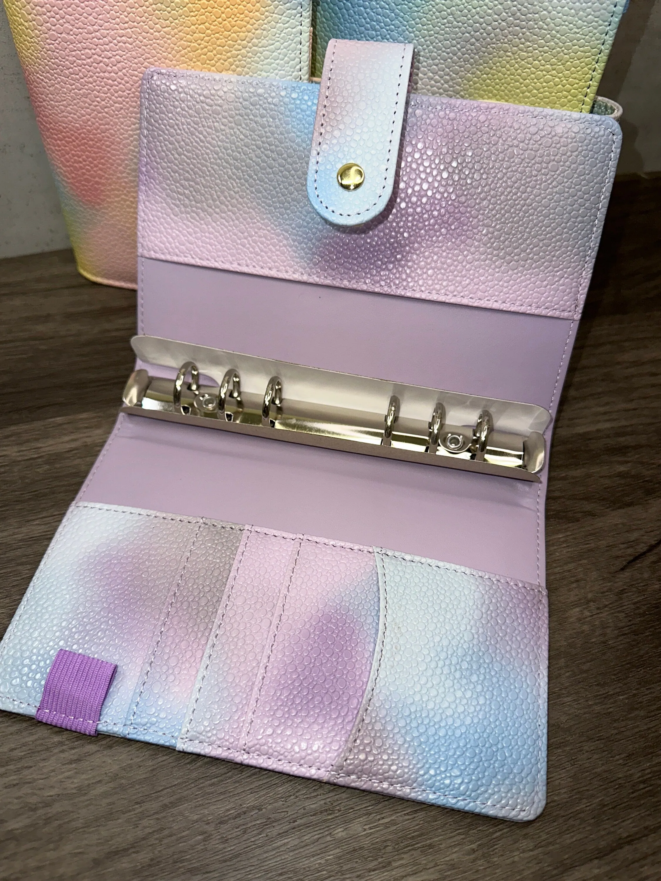 A6 Rainbow Budget Binders