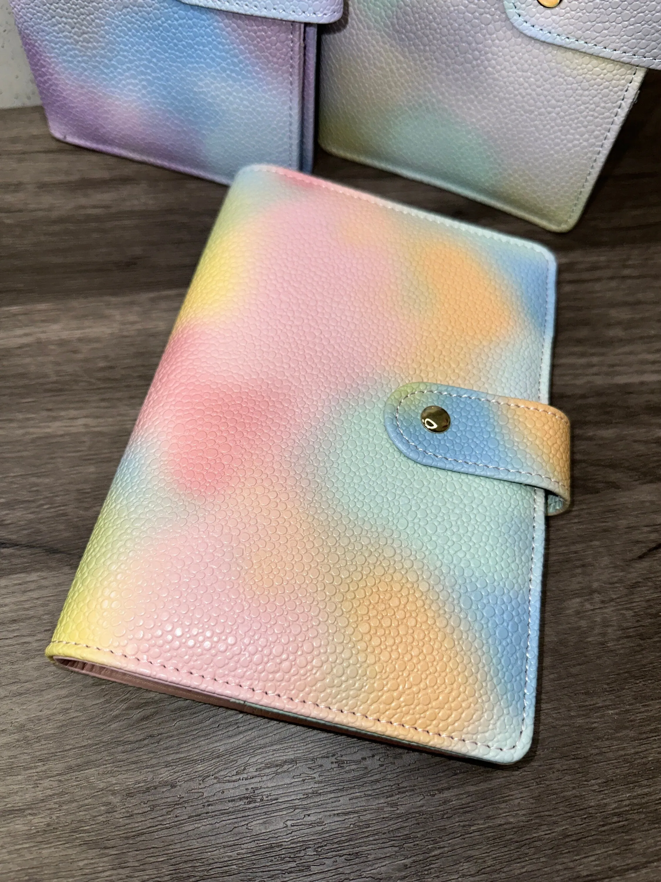 A6 Rainbow Budget Binders