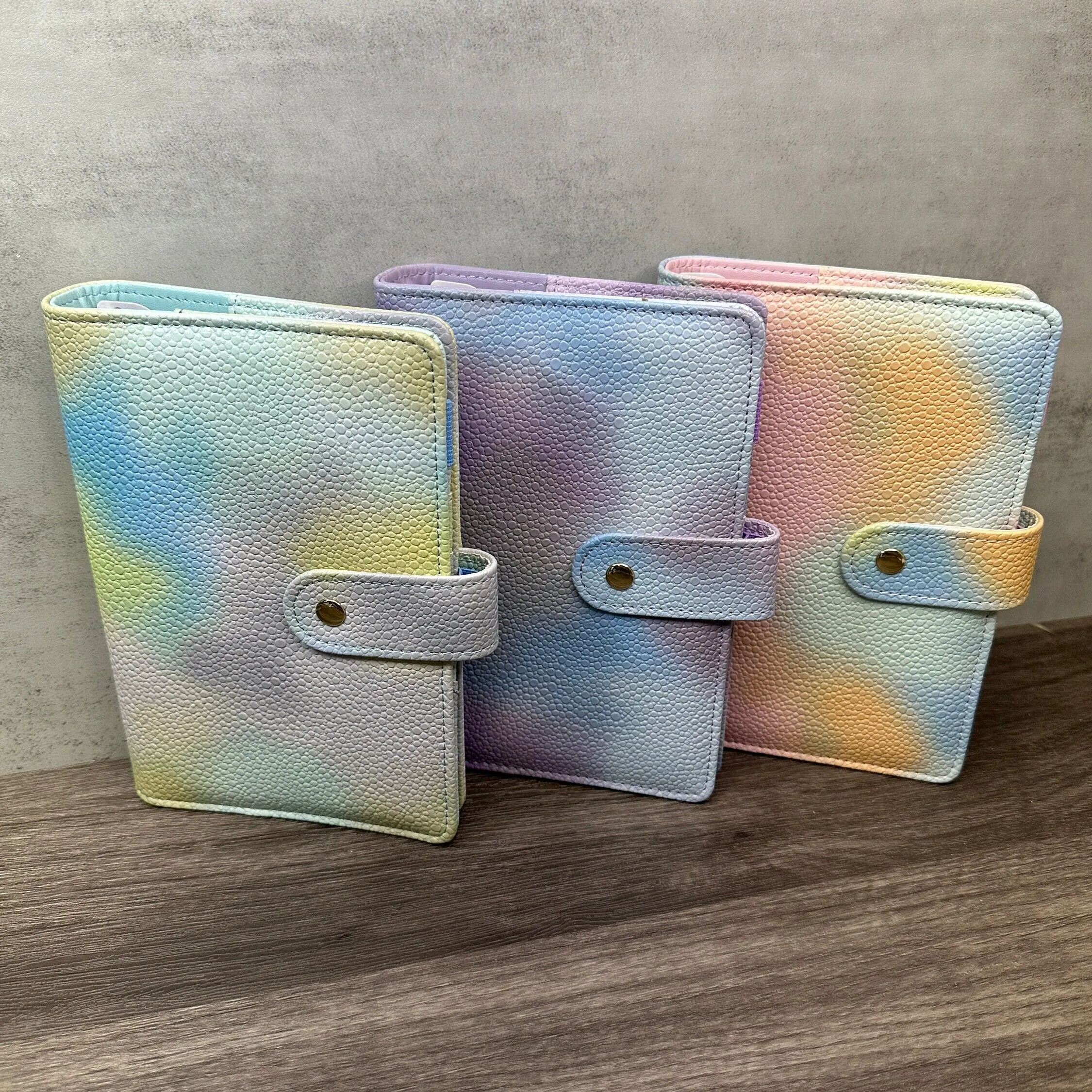A6 Rainbow Budget Binders
