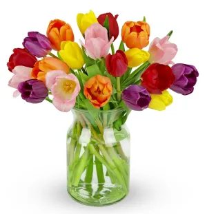 Benchmark Bouquets - 20 Stem Rainbow Tulips (Glass Vase Included) - Fresh Flowers for Delivery - Gift for Graduation, Birthday, Anniversary, Sympathy, Get Well, Congratulations