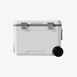 Car Camping Coolers for Kia Sorento/Soul/Sportage/Stonic/Avella/Carens, Waterproof Portable Cooler, Leak Proof Picnic Insulated Bag, Ultra-Light Premium Ice Chest Box,B-White-45L