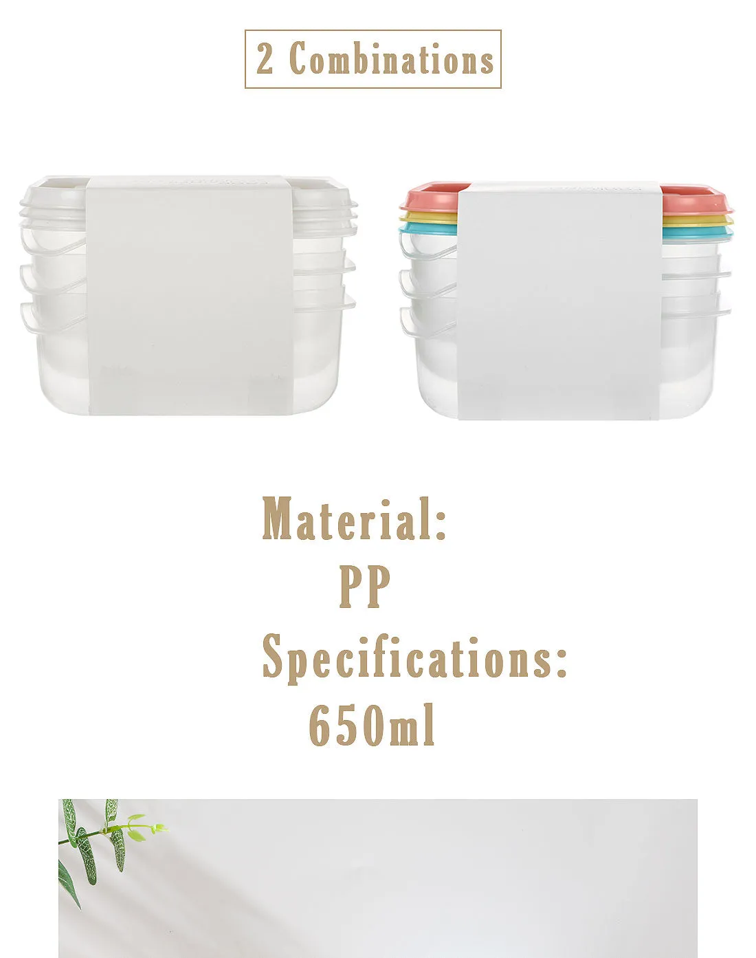 Food Container 3PCS