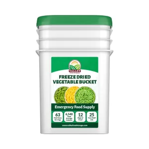 Freeze Dried Vegetable Bucket | 12 Pouches Premium Emergency Food Supply | Survival Food 25 Year Shelf Life | Camping Food, Backpacking Meals, Prepper Supplies | Valley Food Storage Packaged in USA