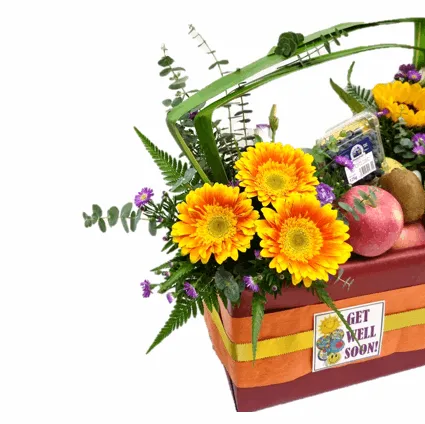 Fruit & Flowers Get Well Basket | FF163