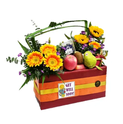 Fruit & Flowers Get Well Basket | FF163