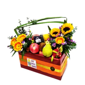 Fruit & Flowers Get Well Basket | FF163