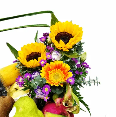 Fruit & Flowers Get Well Basket | FF163