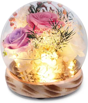 Gifts for Women Preserved Real Flowers,Preserved Roses with Hydrangea and LED Lights,Valentine Day Mothers Day Christmas Birthday Gifts for Women Mom Friend（Pink Rose）