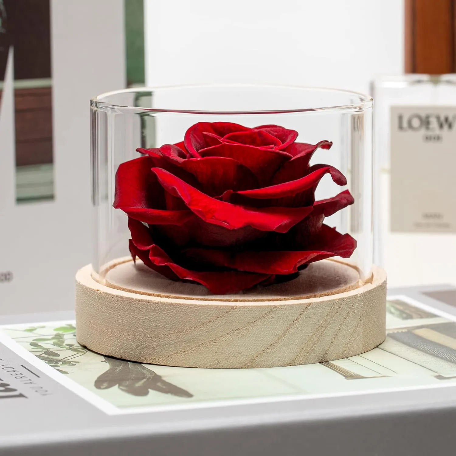 Home Scent Rose Real Fragrance Rose Last 4 Months Gifts for Women/Her Valentines Day Birthday