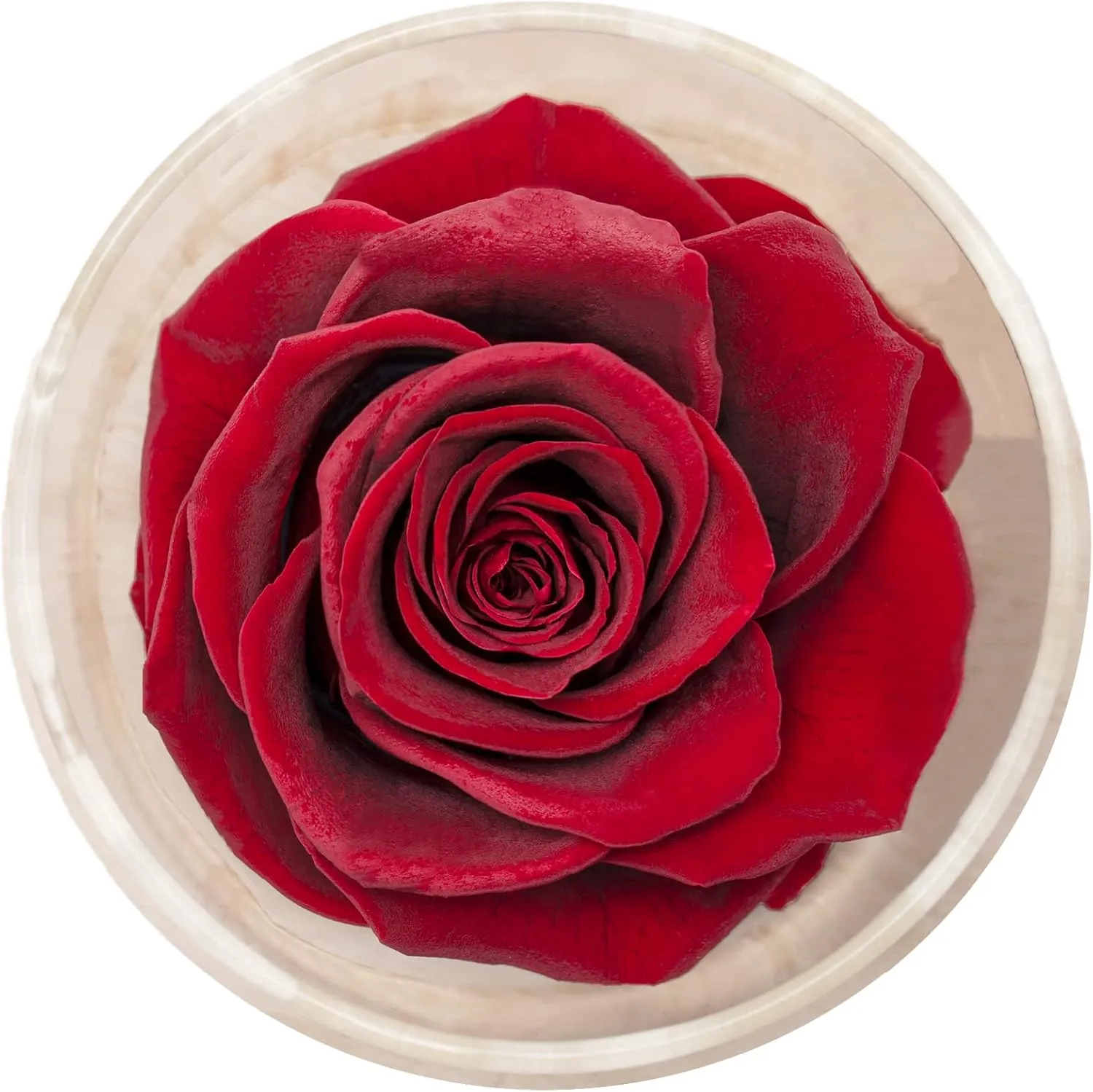 Home Scent Rose Real Fragrance Rose Last 4 Months Gifts for Women/Her Valentines Day Birthday