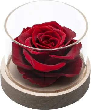 Home Scent Rose Real Fragrance Rose Last 4 Months Gifts for Women/Her Valentines Day Birthday