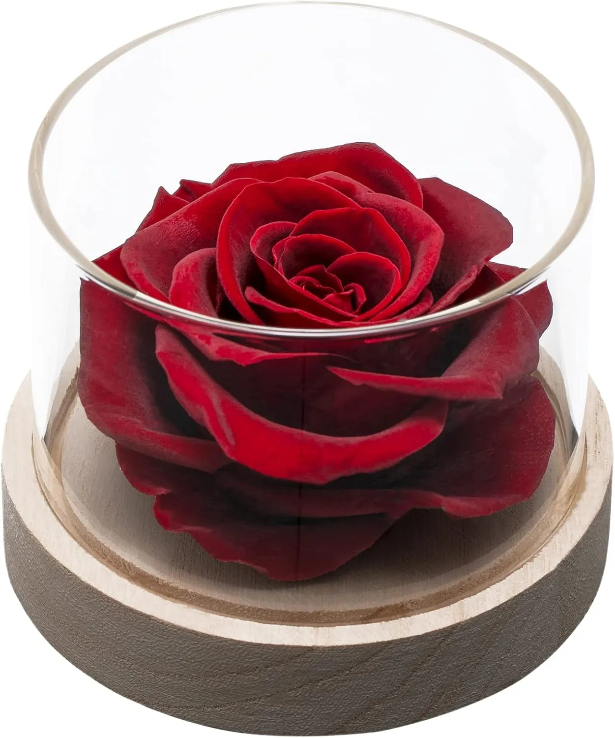 Home Scent Rose Real Fragrance Rose Last 4 Months Gifts for Women/Her Valentines Day Birthday