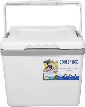 Insulated Cool Box, 6L Foldable Handle Portable Cooler Box Easy to for Outdoor