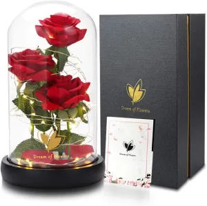 Mothers Flowers Gifts for Mom,Birthday Gifts for Women,Rose Flower Mom Gifts for Her Wife Grandma,Light Up Rose Flowers in Glass Dome Mothers Day Presents from Daughter Son