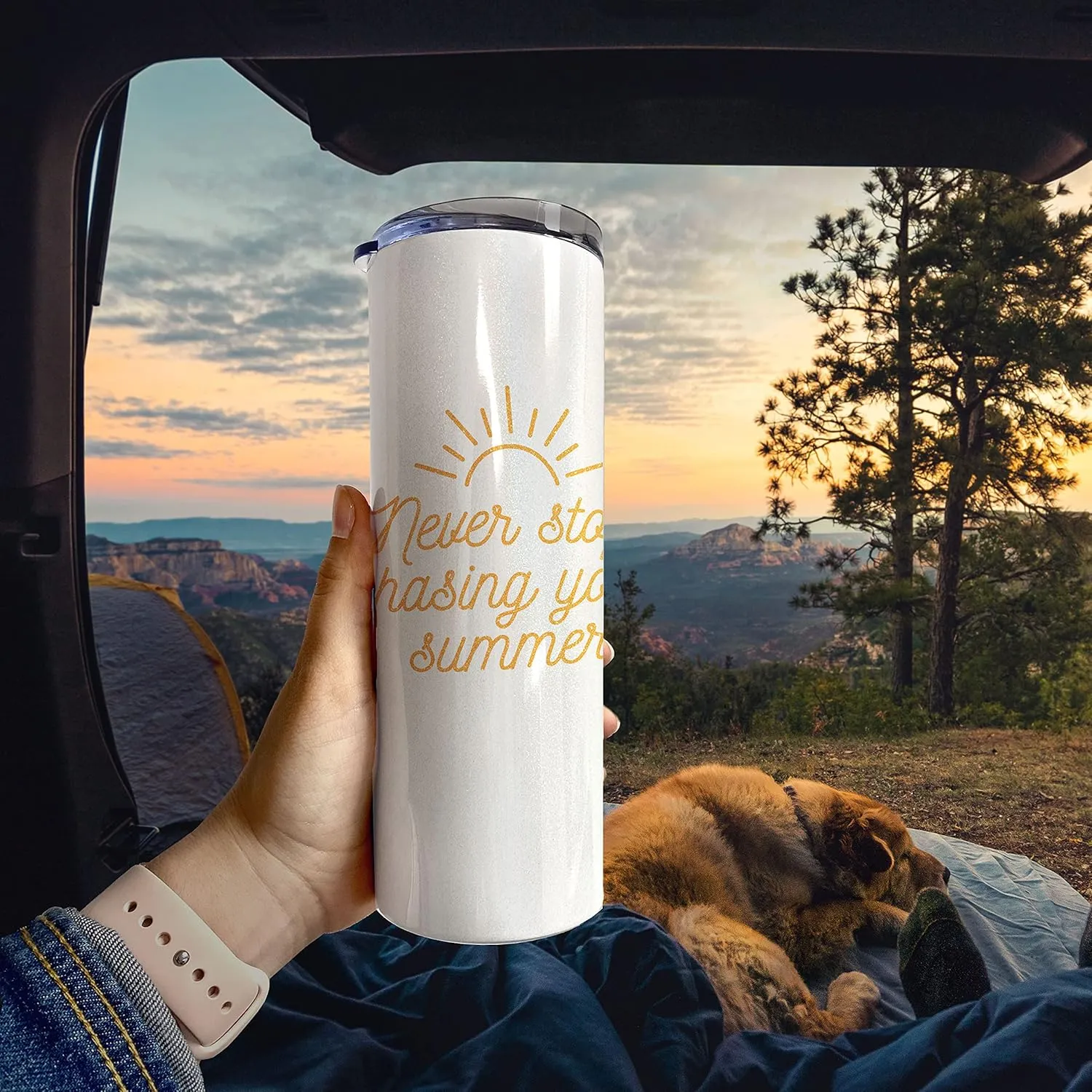 Never Stop Chasing Your Summer – One 20 oz Iridescent Stainless Steel Travel Tumbler with Straw – Double Wall Vacuum Insulation– Keep Beverages Cold For Up to 18 Hours or Hot for 6 Hours