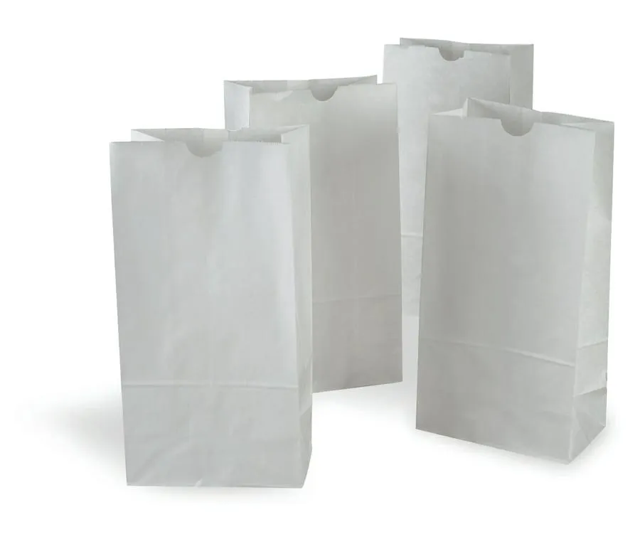 Pacon Rainbow® Kraft Bags 8x14, White, 50 Count