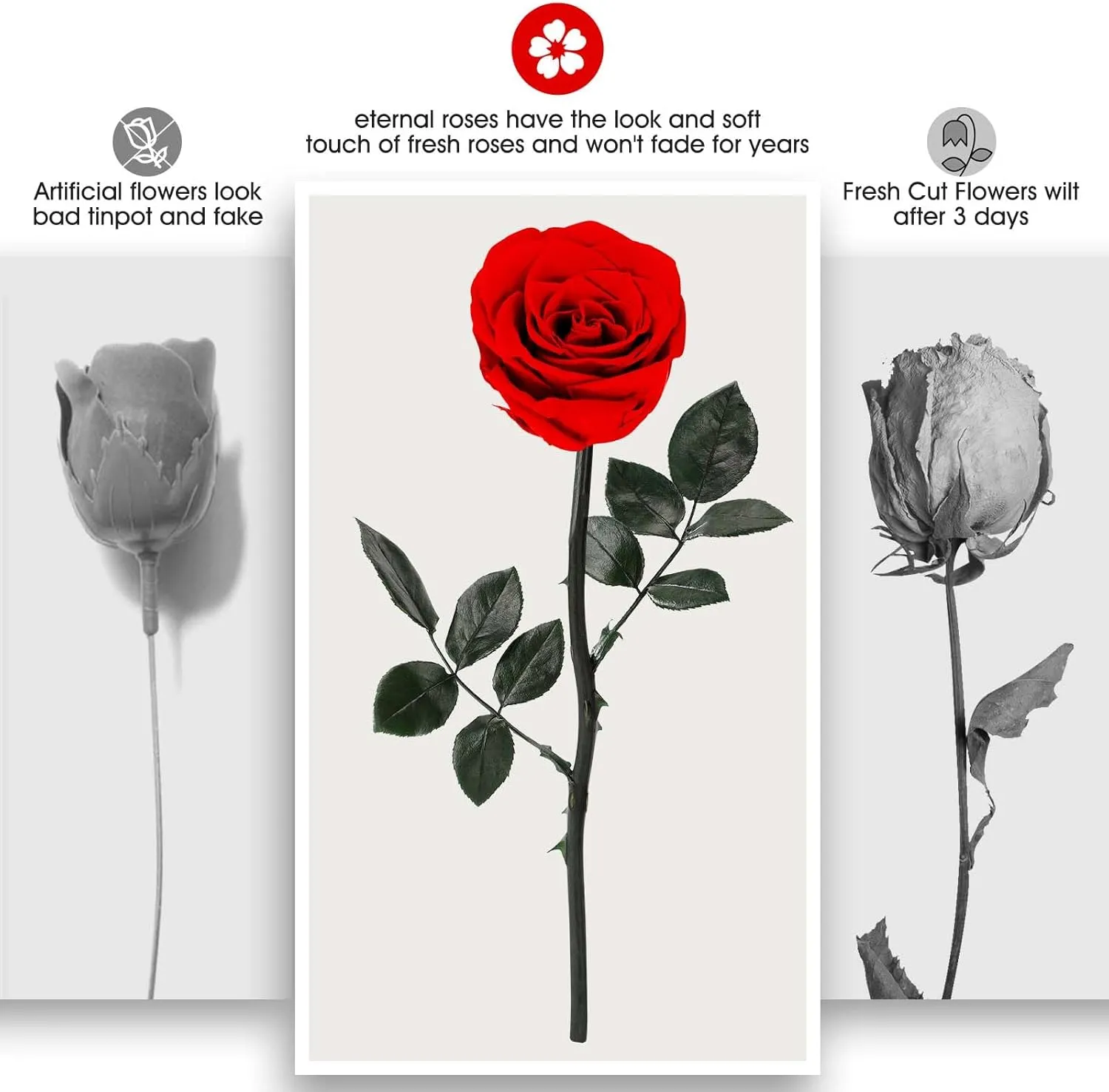 Preserved Rose Flower with Necklace, Real Flowers for Delivery Prime, Single Eternal Red Rose Flower Gifts for Women, Birthday, Anniversary Valentines Gifts Wife Her Mom (Red)