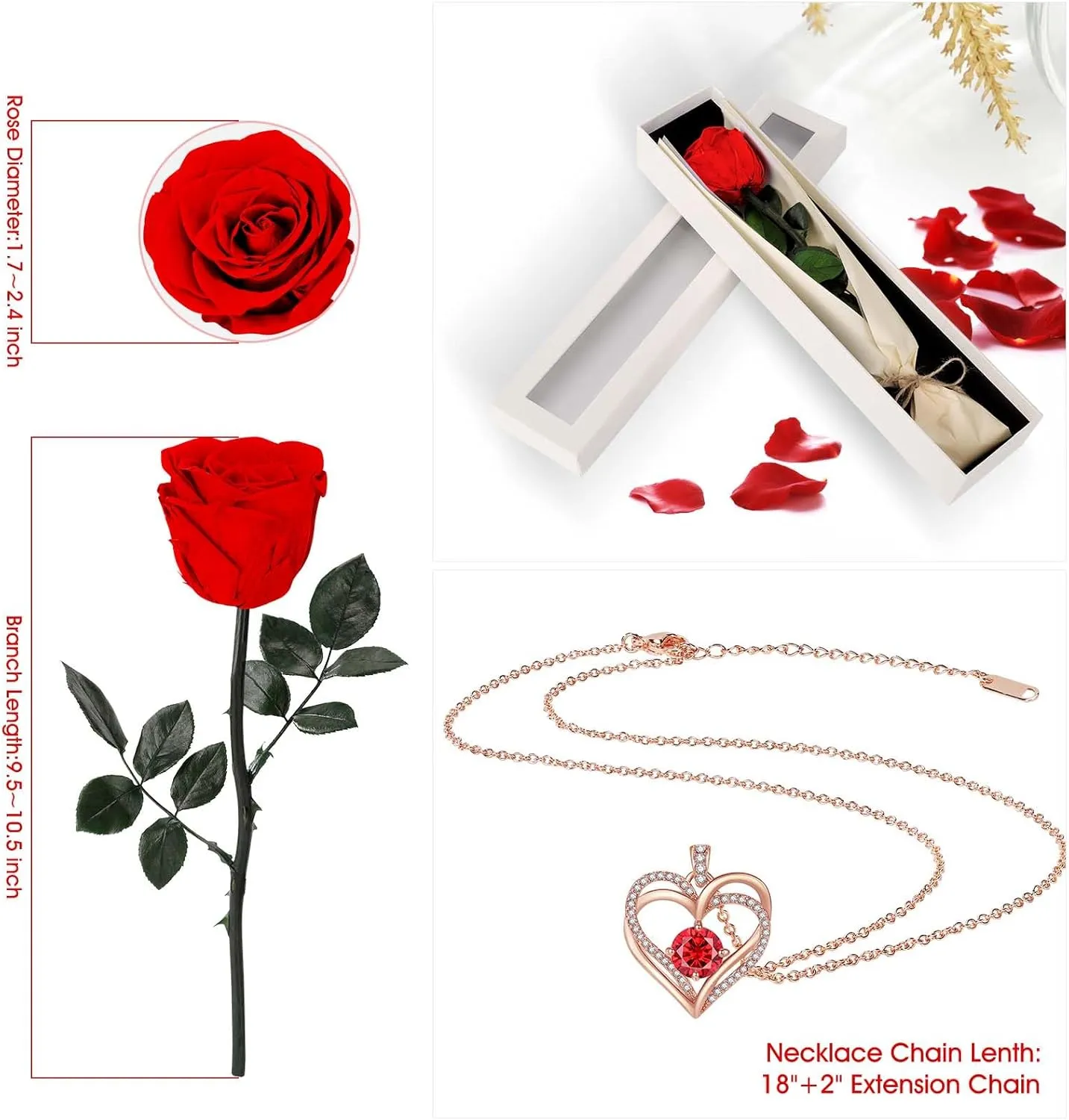 Preserved Rose Flower with Necklace, Real Flowers for Delivery Prime, Single Eternal Red Rose Flower Gifts for Women, Birthday, Anniversary Valentines Gifts Wife Her Mom (Red)