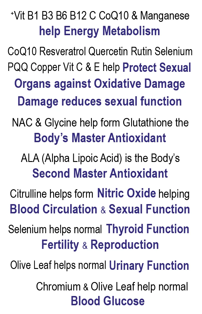 Prostate Vitality 2: Testosterone, Libido Virility, Sexual & Heart Health