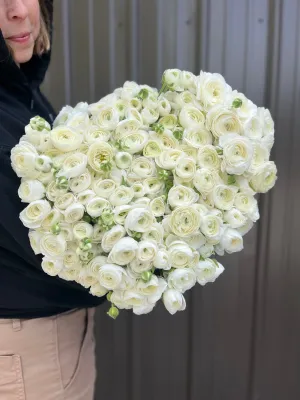 Ranunculus Corms-White