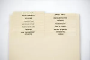 SettlementCounsel Portfolio Tabs
