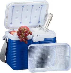 Small Cool Box with Handle, Carry Strap, Plastic Cool Bag, Without Electricity, 8 L, HBT 23.5 x 31 x 21 cm, White/Blue