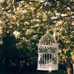 🔥Spring Pre Sale🌳Plant Pulley Set For Garden Baskets Pots, Birds Feeder