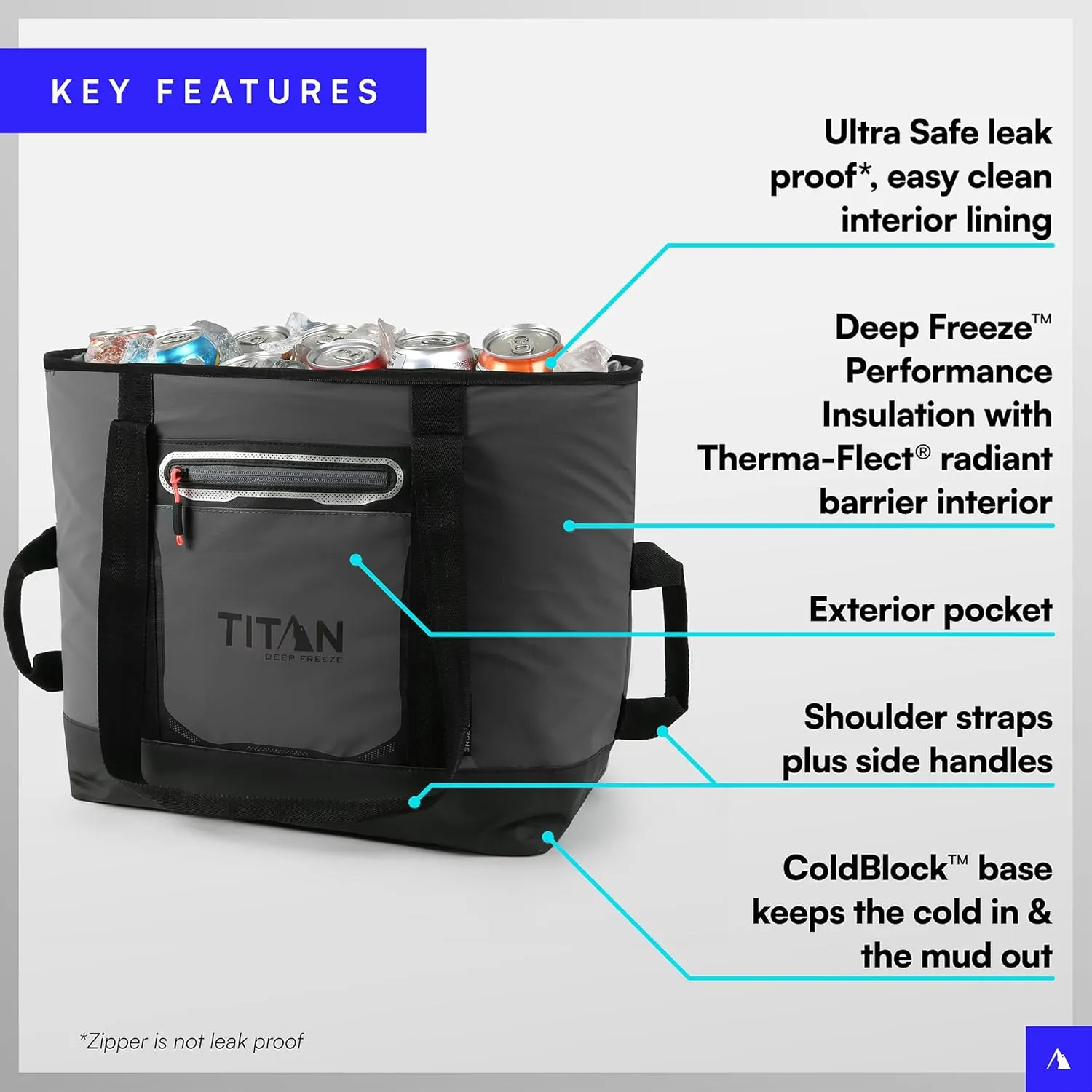 Titan Deep Freeze Insulated Tote Coolers