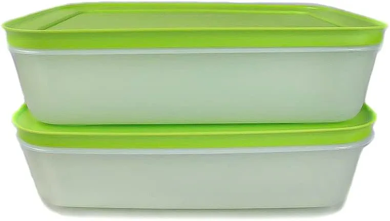 Tupperware Freezer Containers 1.0 L Green/White Flat (2) Ice Crystal Ice Crystal
