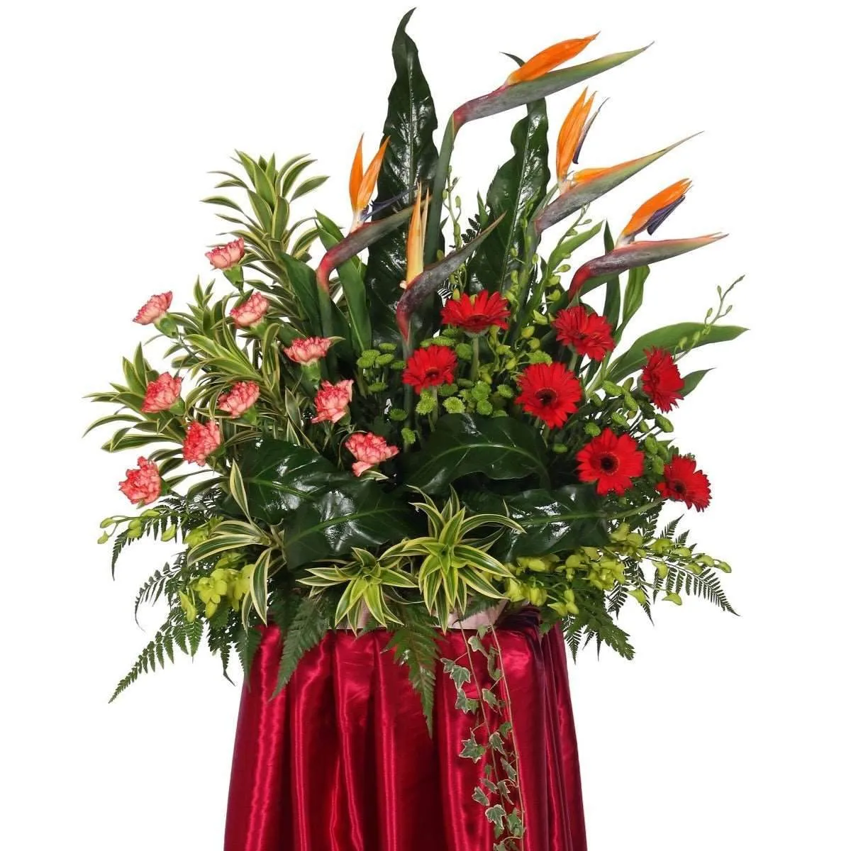 Vibrant Grand Opening Flower Stand with Birds of Paradise & Carnations | FO217
