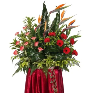 Vibrant Grand Opening Flower Stand with Birds of Paradise & Carnations | FO217