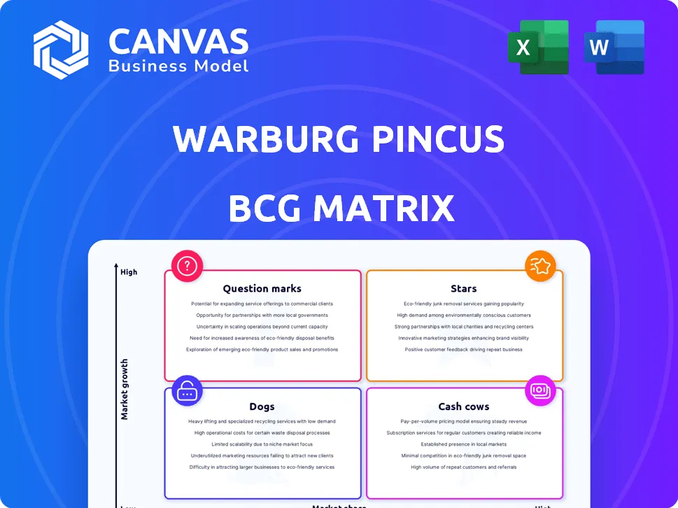WARBURG PINCUS BCG MATRIX