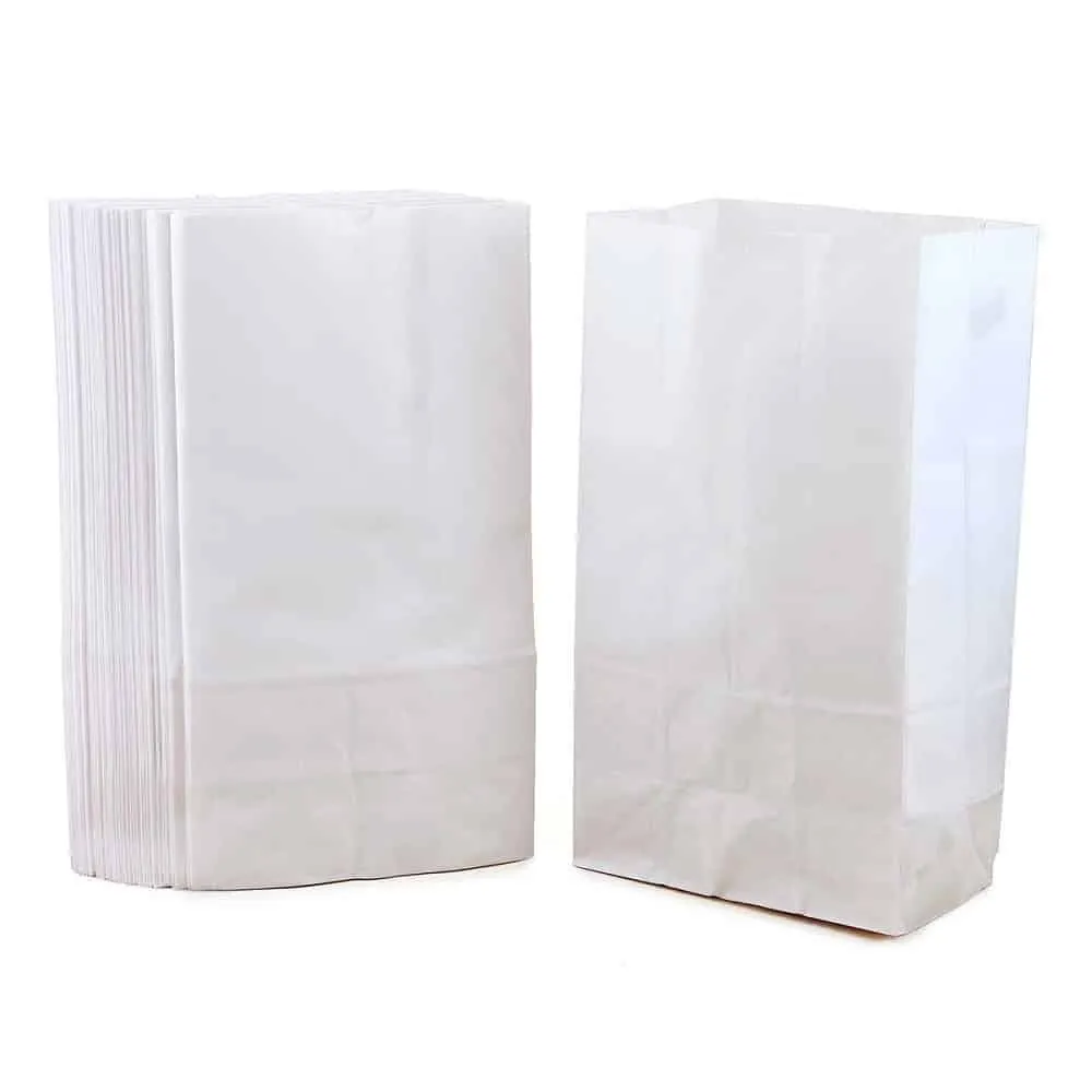 White Gusseted Paper Bags